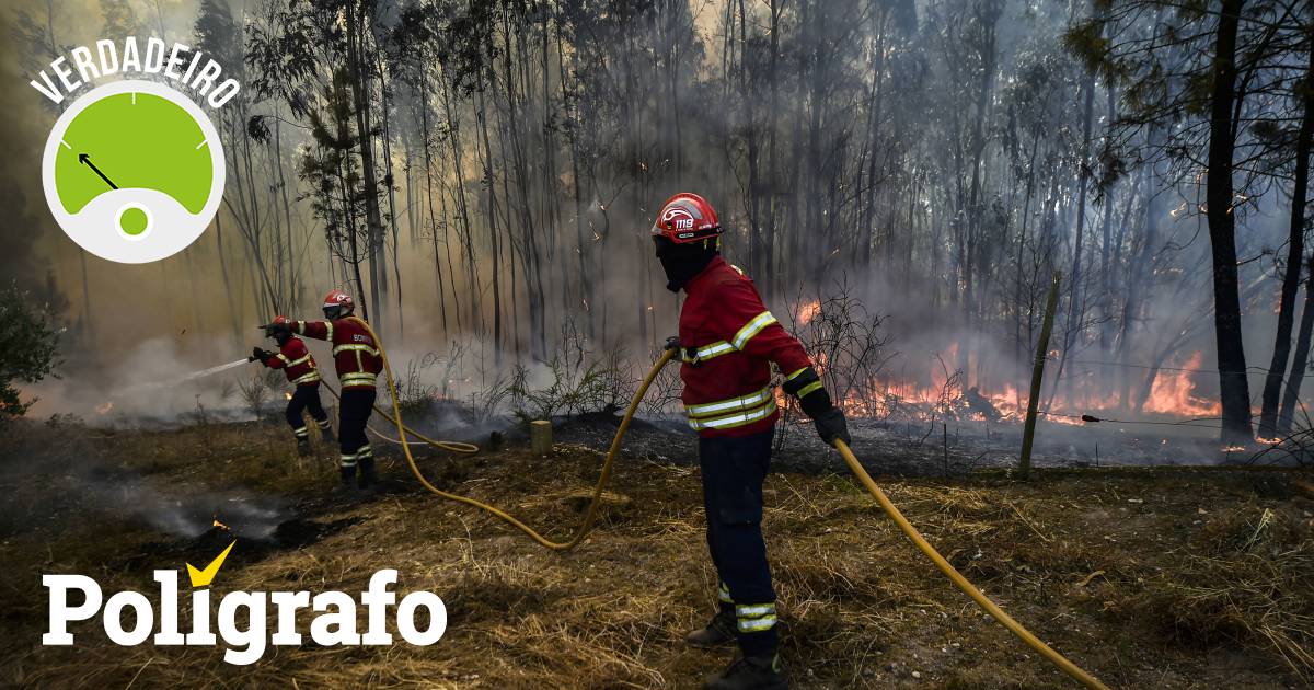 poligrafo.sapo.pt