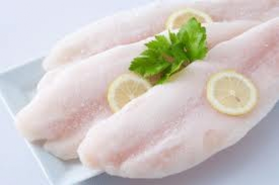 peixe branco peixe branco